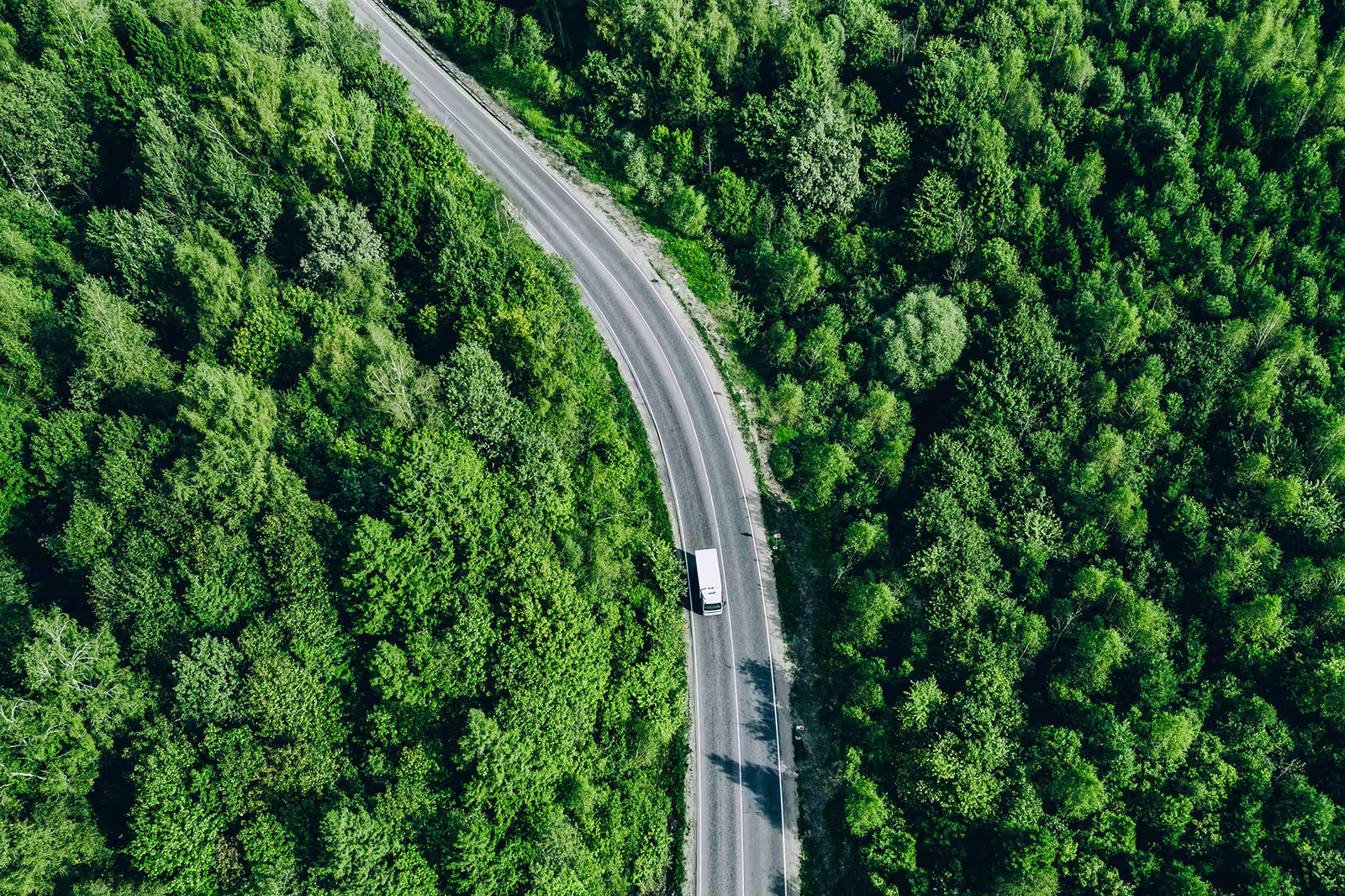 Aerial view of a truck on a road through a forest